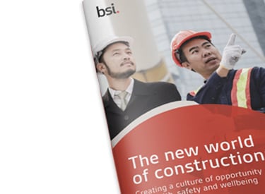 BSI Health, Safety and Wellbeing Report 2020