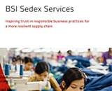 BSI Sedex Services