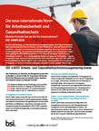 BSI Executive Briefing ISO 45001 Vorschau