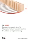 Vorschau Leitfaden ISO 45001 BSI