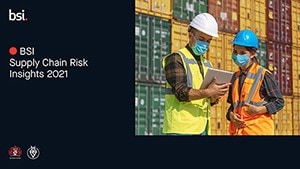 Supply Chain Risk Insights 2020