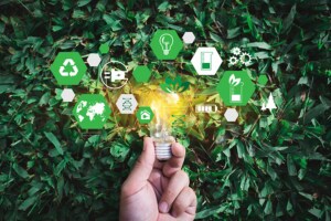 sustainability