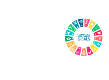 sdg banner