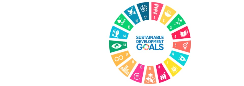 sdg banner