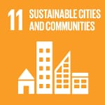 SDG goal 11