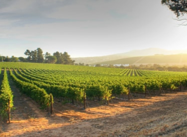 winetech