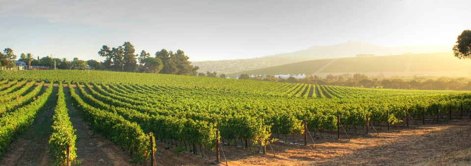 winetech
