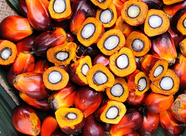 Indonesia Sustainable Palm Oil (ISPO)