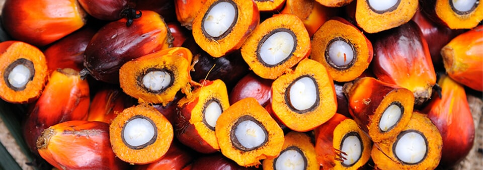 Indonesia Sustainable Palm Oil (ISPO)