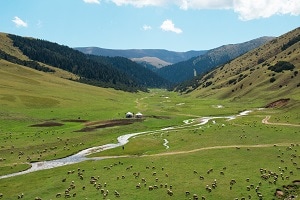 Green valeey in Kazakhstan