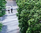 Business people walking outside