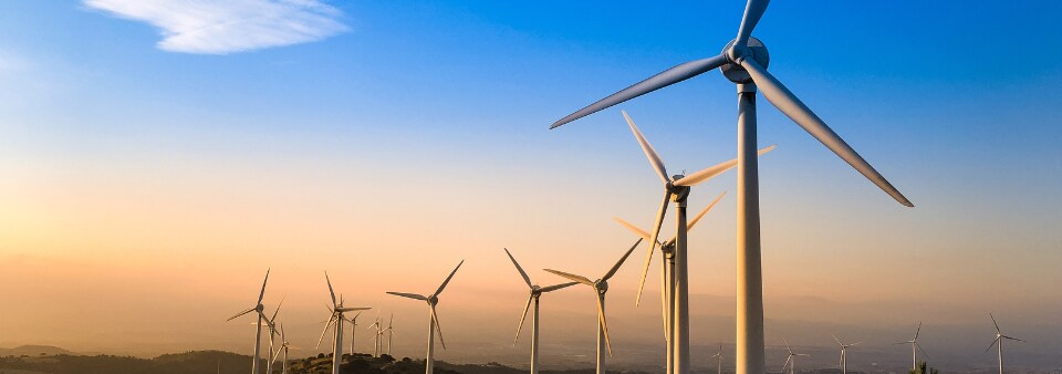 Standards: Accelerating change toward a sustainable future