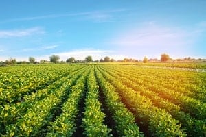 Atteindre et vérifier la neutralité carbone