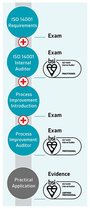 ISO 14001 Internal Auditor pathway