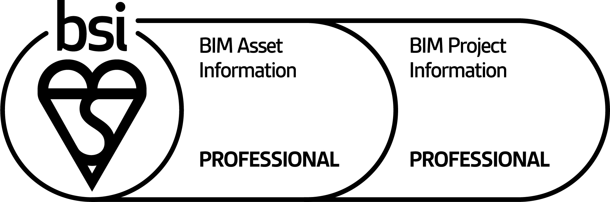 BIM Project and Asset Information Professional qualification logo