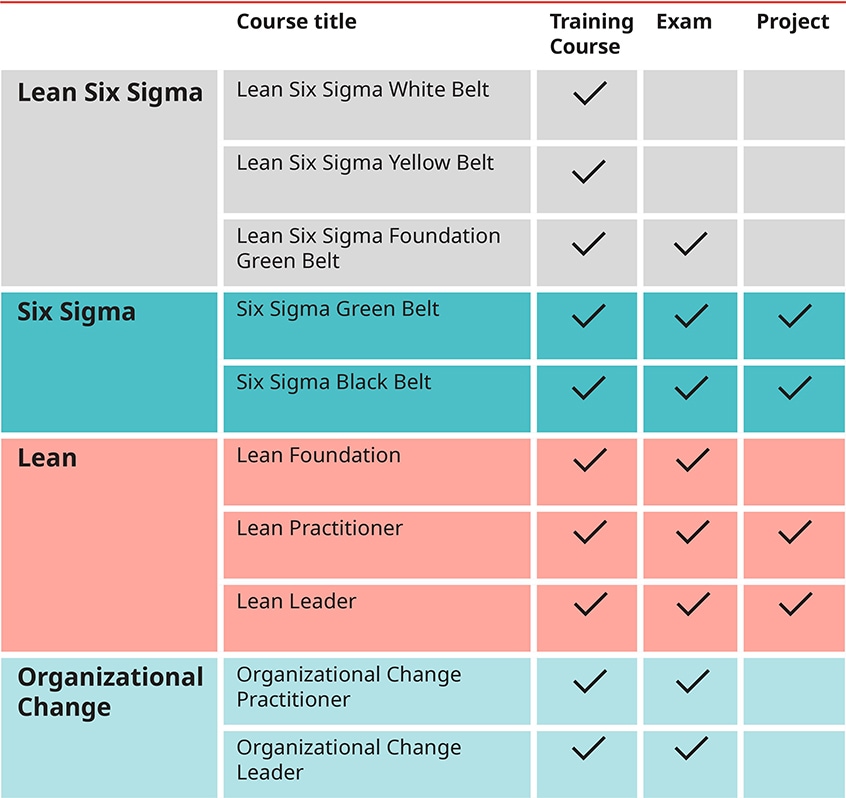 Certified Lean Six Sigma Black Belt qualification table of requirements