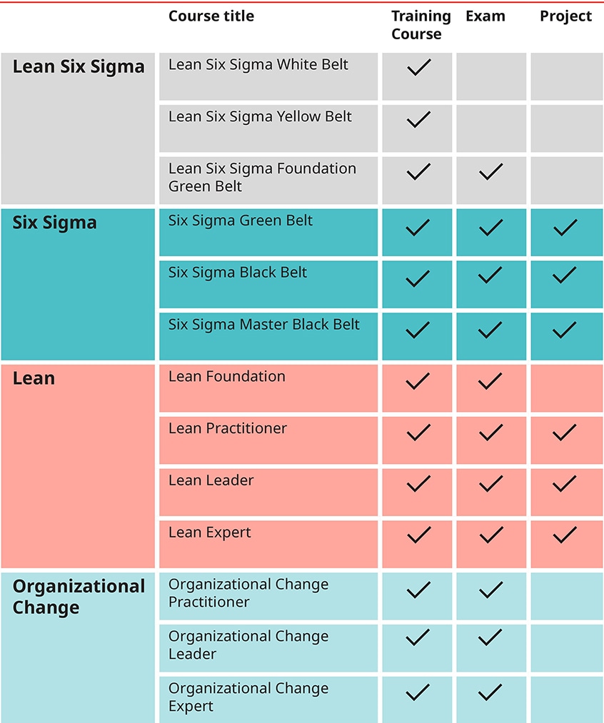 Certified Lean Six Sigma Master Black Belt qualification table of requirements