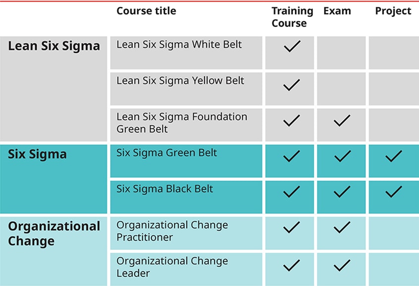 Certified Six Sigma Black Belt qualification table of requirements