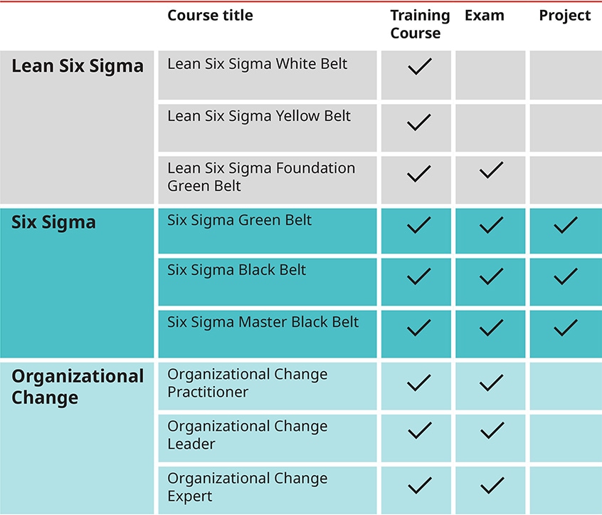 Certified Six Sigma Master Black Belt qualification table of requirements