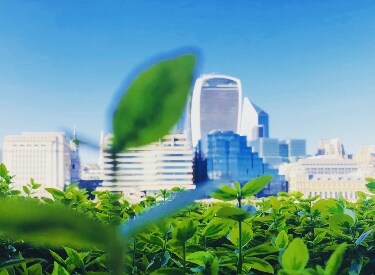 Sustainable finance image