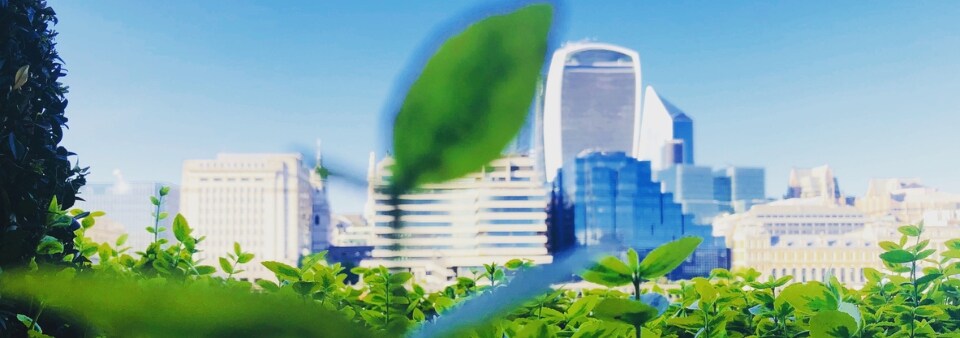 Sustainable finance image