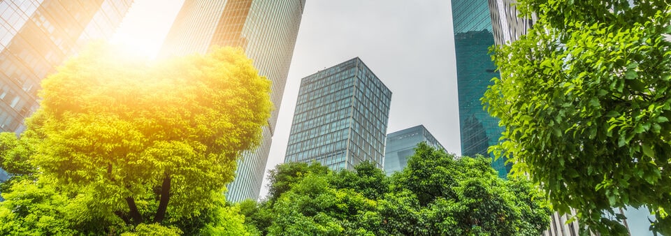 Sustainable finance standards help integrate ESG considerations into investment decisions