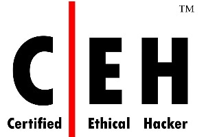 CEH (Certified Ethical Hacker) 研修