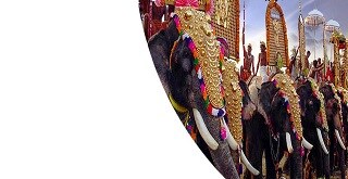 Management System Training in Kerala Management System Training in Kerala