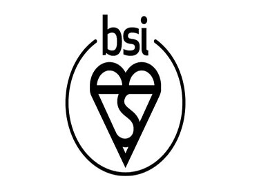 BSI Kitemark™ for services