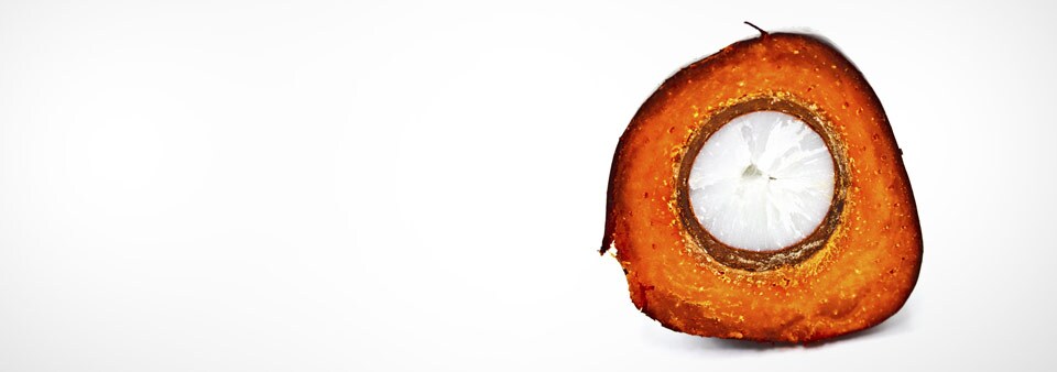 RSPO Certification for Responsible Palm Oil RSPO Certification for Responsible Palm Oil