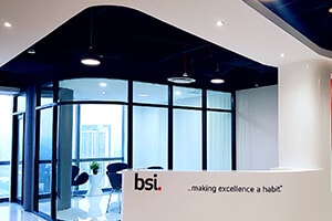 BSI Capacitación