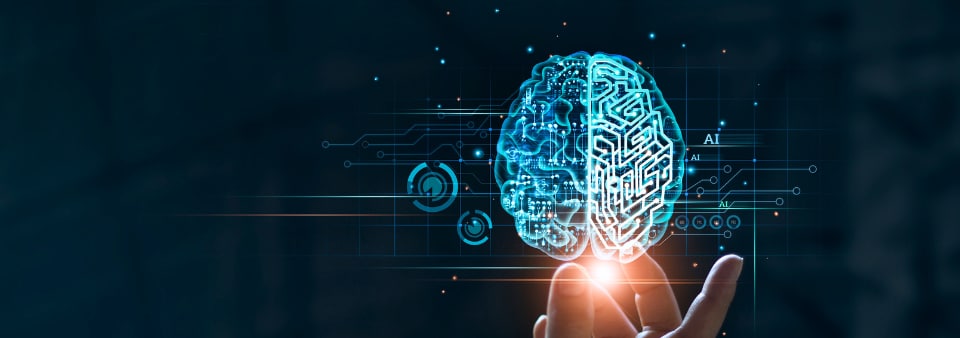 Artificial intelligence (AI) Training