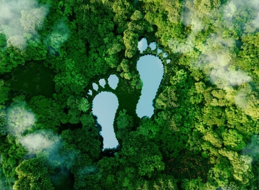 Carbon Footprint Verification
