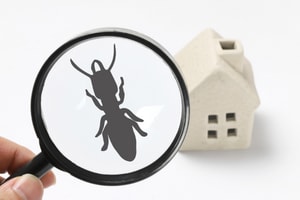 Pest Awareness eLearning Course