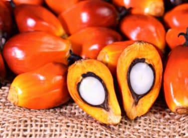 RSPO for Sustainable Palm Oil