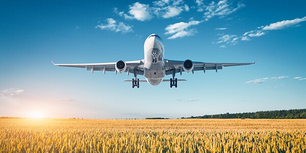 Airplane flying field Airplane flying field