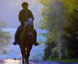 Horse rider