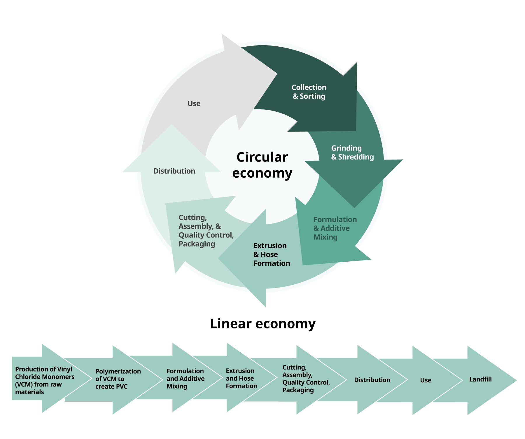 PVC-Circular-Linear-Economy-Combo-Infographic.jpg