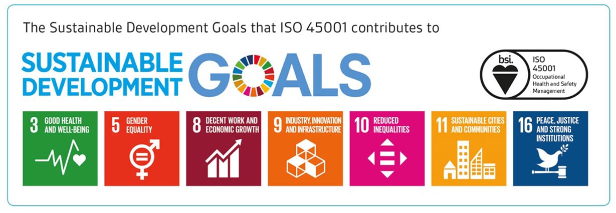 sustainable development goals