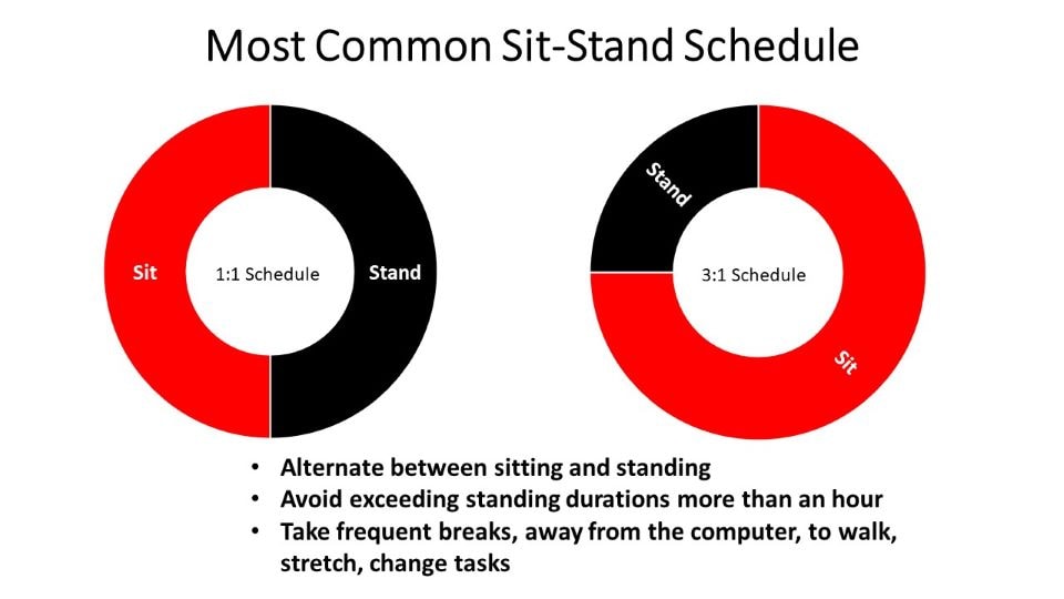 Most Common Sit Stand Schedule
