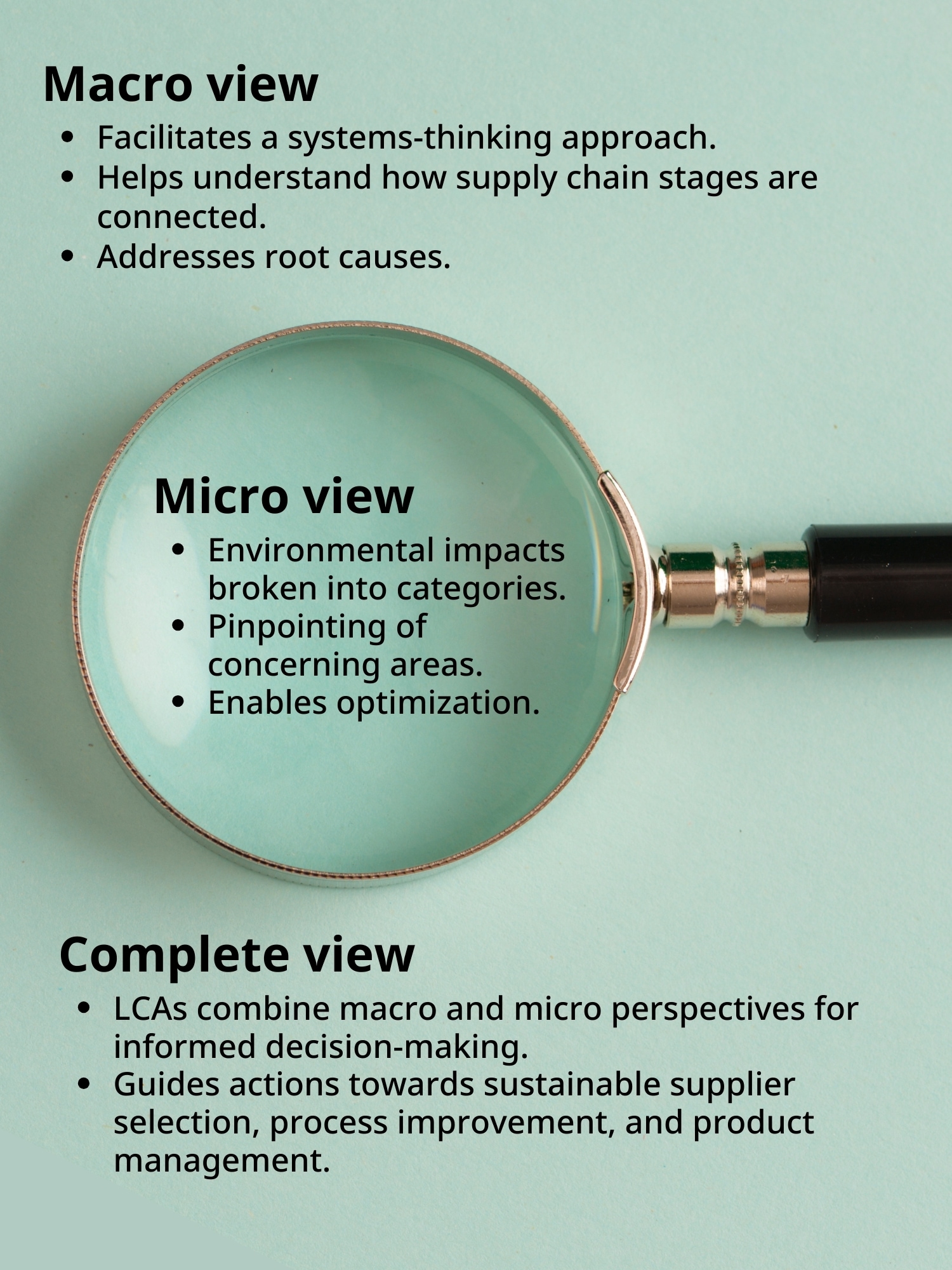 Ramin Blog Infographic - Micro Macro Complete View.jpg