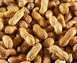 Allergen Awareness