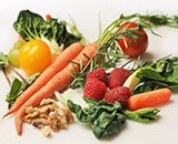 HACCP Foundation