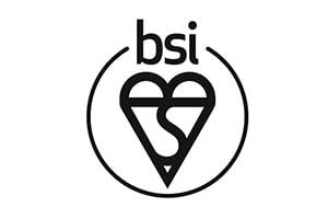 BSI certification services
            