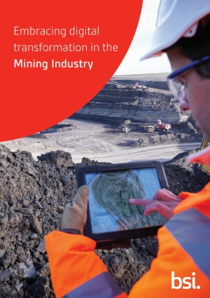Information security in mining