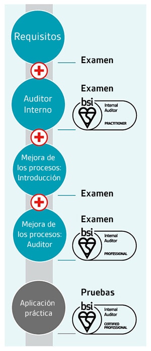 Internal auditor pathway