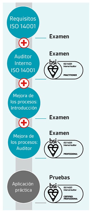 ISO 14001 Internal Auditor pathway