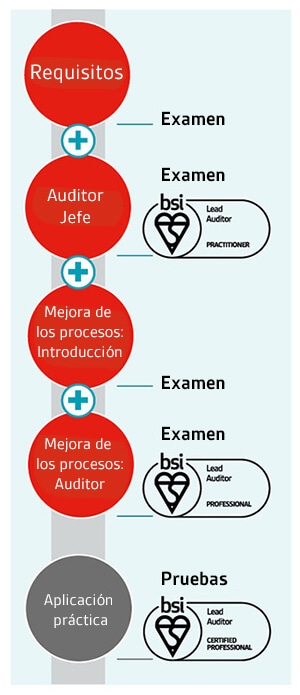 Lead auditor pathway