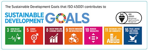 sustainable goals