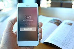 BSI Newsletter
            